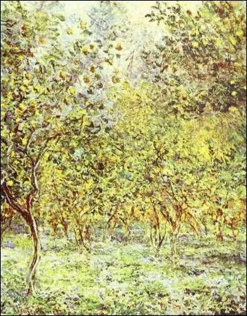 Qui a reprsent des 'Citronniers  Bordighera' ?