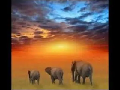 Il chantait ''Asimbonanga / Asimbonang'uMandela thina / Laph'ekhona / Laph'elikhona'' ... Ce chanteur engagé a peut-être aidé à changer l'histoire de son pays.