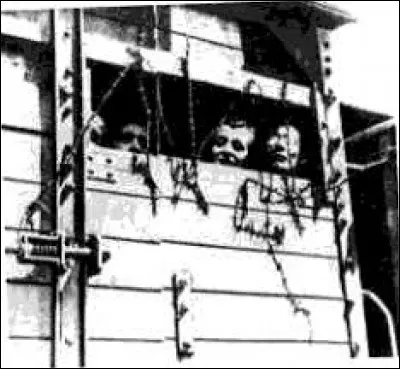 ''Ils étaient vingt et cent, ils étaient des milliers / Nus et maigres, tremblants, dans ces wagons plombés / Qui déchiraient la nuit de leurs ongles battants / Ils étaient des milliers, ils étaient vingt et cent''