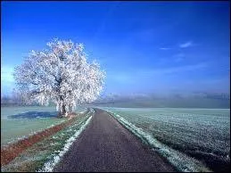 Compltez ce dicton concernant le 20 mai : 'S'il gle  la Saint Bernardin... . ' ?