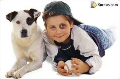 Quelqu'un qui aime les chiens est un