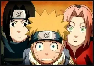 Elle fait partie de l'quipe 7 avec Sasuke et ...