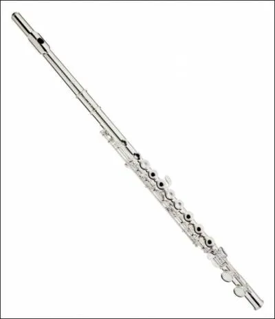 Quel est cet instrument de musique ?