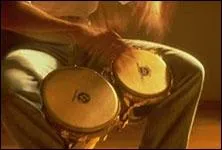 Quel est cet instrument de musique ?