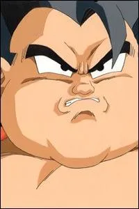 Qui est cette personne ?