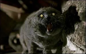 Au cours d'une promenade, Judson fait dcouvrir  la famille Creed le 'Simetierre', un cimetire d'animaux o des gnrations d'enfants ont enterr leurs animaux de compagnie prfrs :