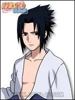 Quel est le signe du zodiaque de Sasuke ?