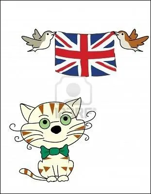 Comment dit-on 'chat' en anglais ?