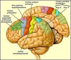 'L'intelligence est le seul outil qui permet  l'homme de mesurer l'tendue de ... '