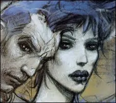 Qui est le dessinateur de cette BD ?