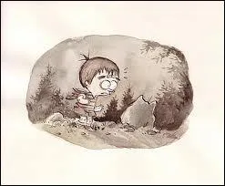 Qui est le dessinateur de cette BD ?