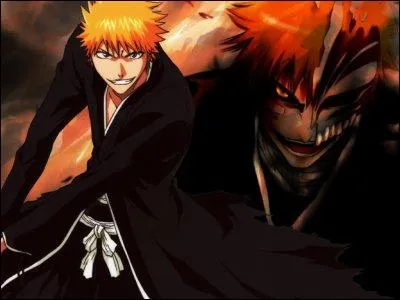 Quel est le nom du Bankai d'Ichigo ?