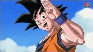 Personnage de Naruto ou DBZ ?