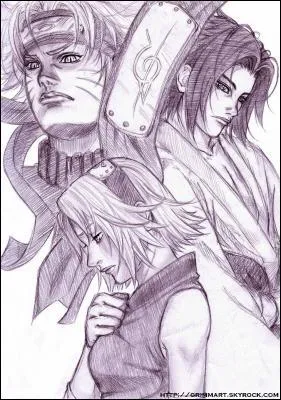 Personnages de Naruto ou DBZ ?