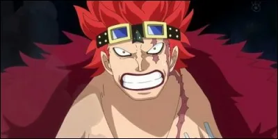 De quel type est le fruit du démon d'Eustass Kidd, capitaine des Kidd Pirates ?