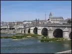 Cette ville du Loir-et-Cher, dont Jack Lang a t maire pendant plus de 10 ans, abrite l'un des clbres chteaux de la Loire.