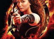 Quiz Hunger Games : l'embrasement