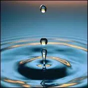 Par quel moyen recueillent-ils de l'eau potable dans l'arne ?