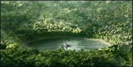 Quelle est la particularit du  grand arbre  qui se trouve dans l'arne ?