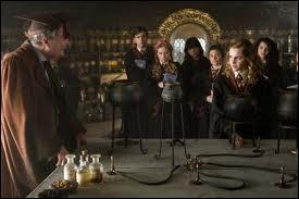 Comment s'appelle le professeur de potions dans Harry Potter 6 ?