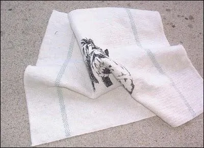 Quel est le nom de cet outil de pansage ?