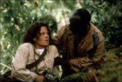 Quel est le titre de ce film ?