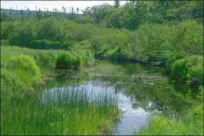 Animateur de tlvision franais. Pierre Belle...