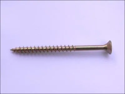 Premier Roi des Francs. Clo...