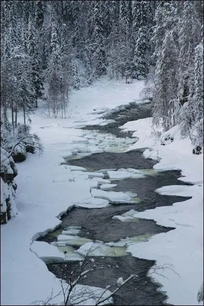 En Laponie, la temprature peut descendre en-dessous de... ?