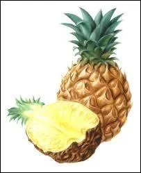 Les ananas taient autrefois trs rares, d'o le surnom tait :