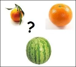 On dit que la Terre est bleue comme :