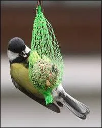 L'allie par excellence du jardinier ... .