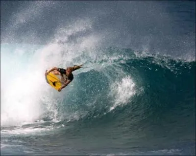 Quel est le prnom du surfeur nomm 'Hamilton' ?