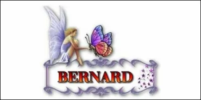 Que signifie le prénom Bernard ?