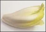 D'o est originaire l'endive ?