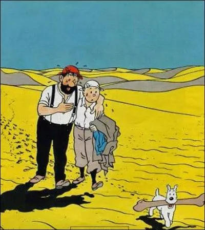 Un moment , Tintin et Haddock de retrouvent perdus dans le dsert et se donnent la main; c'est une image de l'album :