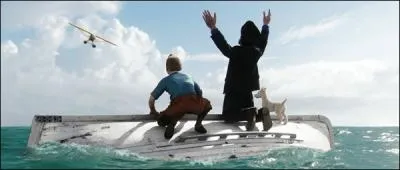... . . la houppette de Tintin nageant dans l'eau :