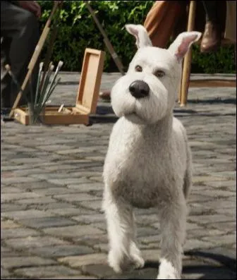 Dans le film de Spielberg, que manque-t-il  Milou par rapport aux albums ?