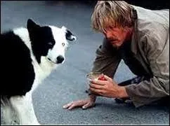 Paul Mazursky, ralisateur du film 'Le clochard de Beverly Hills' a donn le nom d'un peintre  ce chien, lequel ?