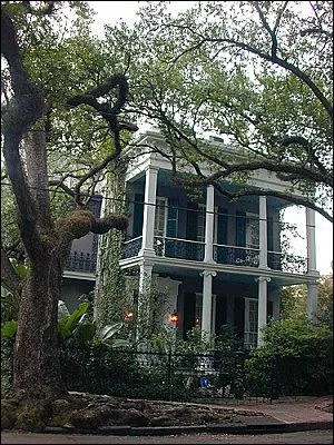 Ce livre commence par la rencontre entre Rowan Mayfair et celui qui deviendra son mari, Michael Curry. Tous deux dots de pouvoir surnaturels, ils sont abords par Aaron Lightner (membre du Talamasca