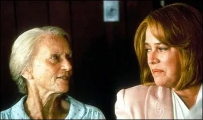 En 1991 Jon Avnet a ralis ... .