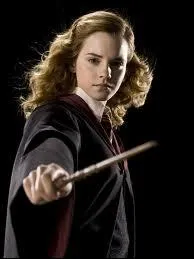 Qui est la meilleure amie de Harry Potter ?