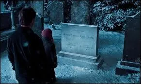 Qui a tu Sirius Black ?