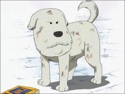 Chouchou : Qu'a-t-il aval, posant de srieux problmes  Luffy ?