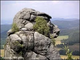 Dans quel pays peut-on dcouvrir se rocher appel ' Monkey Rock ' ?