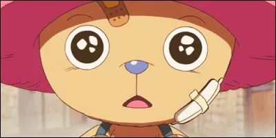 Qui vient après Chopper dans l'équipage ?