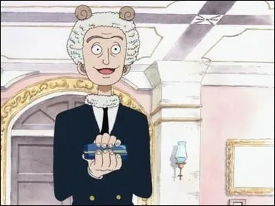 Merry : Qu'a-t-il offert  l'quipage de Luffy ?