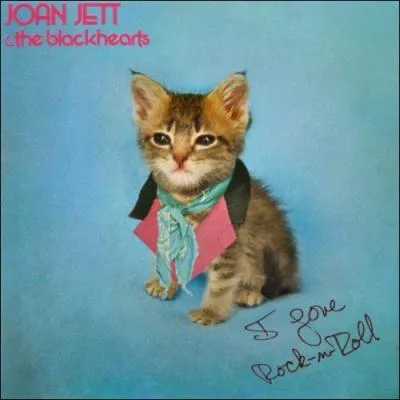 Traduisez le titre de Joan Jett and the Blackheats. ' I Love Rock'nRoll'.