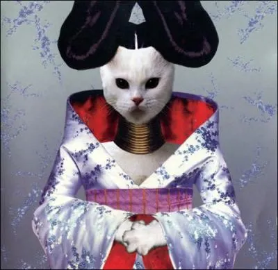 Quelle chanteuse a t remplace par ce chat ?