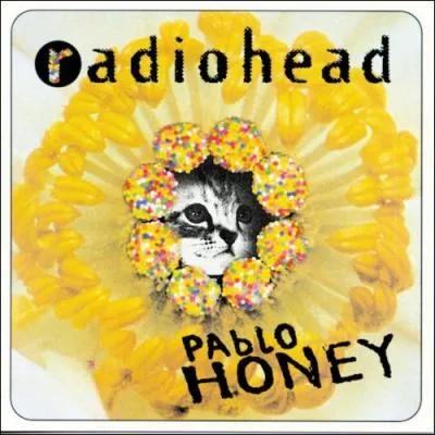 Sur lapochette du groupe Radiohead, que veut le mot Honey ?